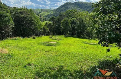 Chácara à venda, 22560 m² por r$ 250.000,00 - jambeiro - jambeiro/sp
