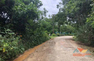 Terreno à venda, 270 m² por r$ 60.000,00 - massaguaçu - caraguatatuba/sp