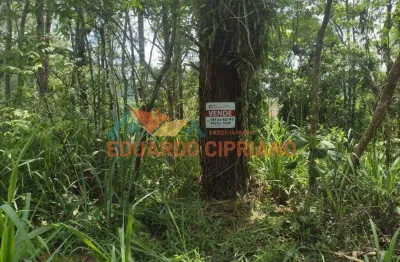 Terreno à venda, 480 m² por r$ 250.000,00 - jardim capricórnio - caraguatatuba/sp