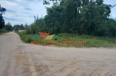 Terreno à venda, 360 m² por r$ 245.000,00 - massaguaçu - caraguatatuba/sp