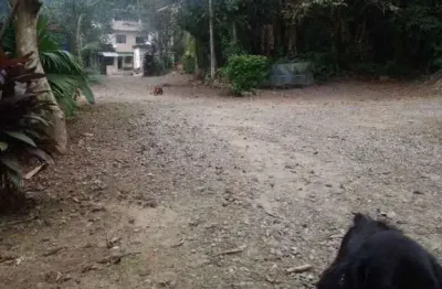 Terreno à venda no Morro Nova Cintra, Santos 