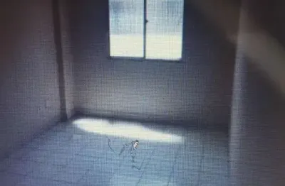 Aluga-se apto de 1 dorm/ambiente funcional/1 wc/1 vaga/segurança 24h