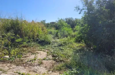 Terreno à venda em Caravelas, Armação dos Búzios 