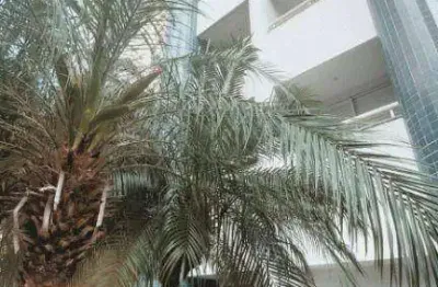 Apartamento modernizado em moema pássaros, com 2 dormitórios, sendo 1 suíte, e 2 vagas de garagem