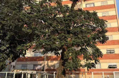 Apartamento reformado com 1 dormitórios, em  moema pássaros, com  1 dormitório, próximo ão parque do ibirapuera
