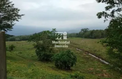 Terreno à venda na Servidão Maria José de Melo, 402, Aririu, Palhoça