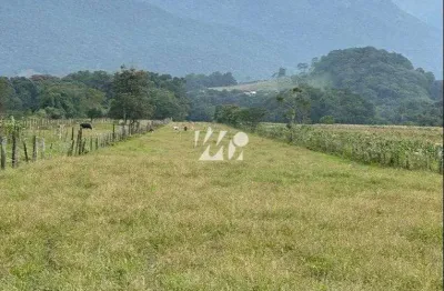 Terreno no sul do rio em santo amaro da imperatriz - imv