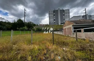 Terreno à venda na Rua dos Lírios, S/Nº, Pedra Branca, Palhoça