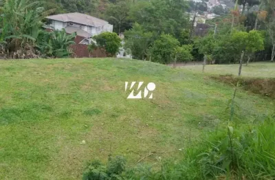 Terreno à venda na Servidão Imaculada Conceição, 10, Morro dos Ventura, Santo Amaro da Imperatriz