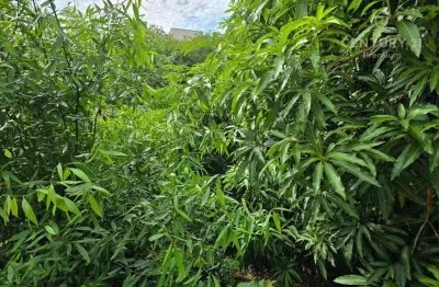 Barracão / Galpão / Depósito à venda na Avenida São João, 787, Alto, Piracicaba