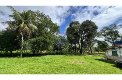 Vende sítio com 15 tarefas no povoado rio verde - areia branca