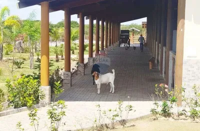 Terreno no fazenda real residence 1 , 1.902 m² com preço reduzido. aceita troca !