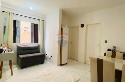 Excelente apartamento no condomínio vida residencial no são brás em socorro