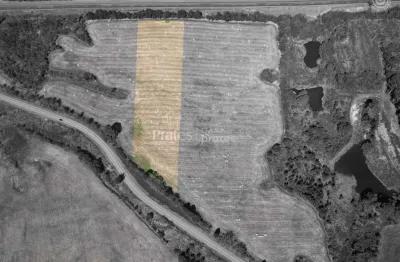 Terreno à venda na Presidente Ernesto Geisel, 3, Colonia Witmarsum, Palmeira