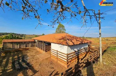 Fazenda à venda, 6 quartos, 1 suíte, área rural de divinópolis - divinópolis/mg