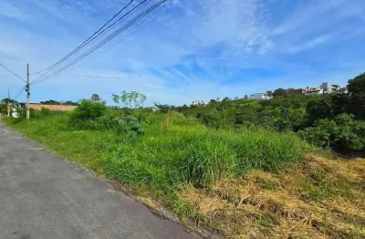 Terreno à venda no Belvedere, Divinópolis 