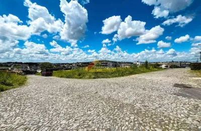 Terreno comercial para alugar no São Roque, Divinópolis 