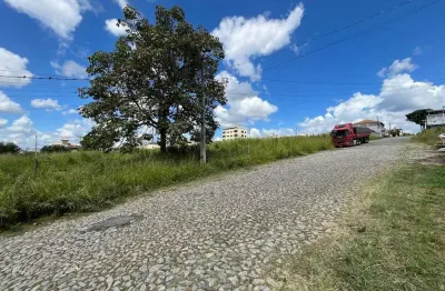 Terreno comercial para alugar no São Roque, Divinópolis 
