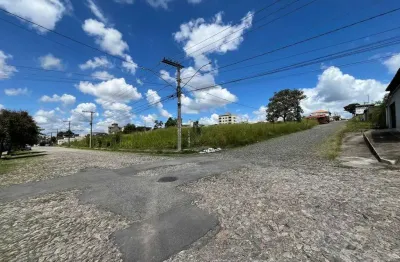 Terreno comercial para alugar no São Roque, Divinópolis 