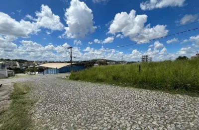 Terreno comercial para alugar no São Roque, Divinópolis 