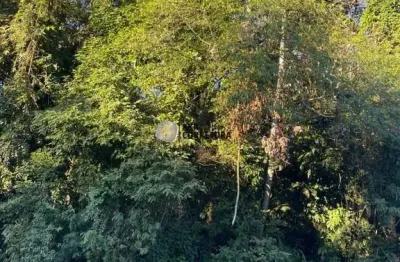 Terreno à venda no Zantão, Brusque 