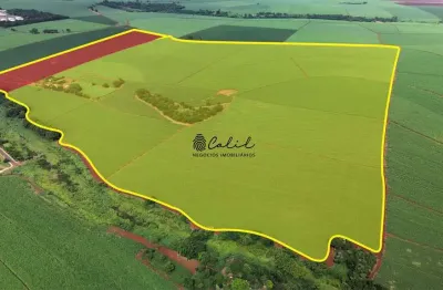 Fazenda à venda, 63 alqueires por r$ 107.000.000 - reserva macaúba - ribeirão preto/sp