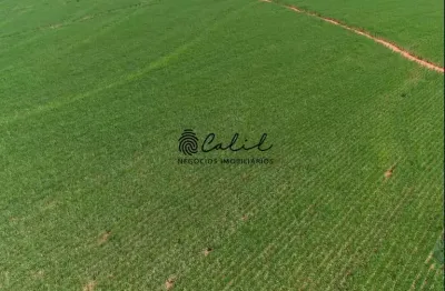 Fazenda com 955,9 hectares em cana, já arrendada à venda por r$ 65.000.000,00 - torrinha/sp