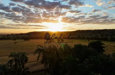 Fazenda 1300 hectares para gado e cana-de-açúcar à venda por r$ 135.000.000,00 - cachoeira alta - goiás