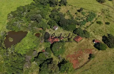 Fazenda ideal para plantio de café com 75,08 hectares à venda por r$ 8.500.000,00 - santo antônio da alegria/sp