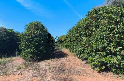 Fazenda com 550.000 pés de café à venda por r$ 32.000.000,00 - guaxupé/mg