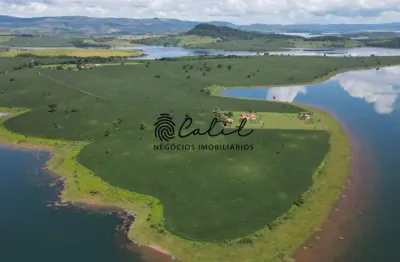 Fazenda à venda, 296,47 hectares, 7km de margem de represa por r$ 80.000.000,00, cássia/delfinópolis/mg