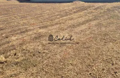 Condominio bosque das colinas - terreno com 1.041,32m² à venda por r$ 1.000.000,00 - condomínio bosque das colinas (royal park), ribeirão preto/sp