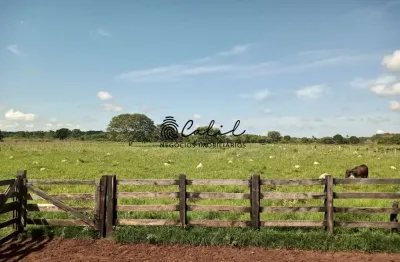 Fazenda mista de 311,58 hectares à venda r$ 7.700.000,00 - miracema do tocantins/to