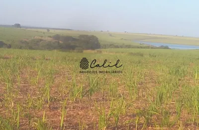 Fazenda com 464,64 hectares com cana já arrendada à venda por r$ 24.000.000,00 - presidente venceslau/sp
