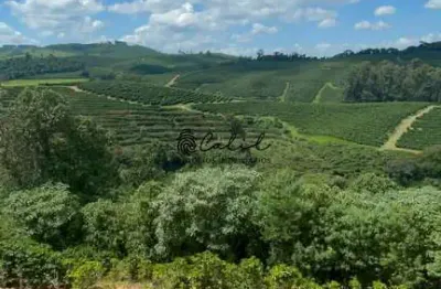 Fazenda em café com 595,32 hectares à venda por r$ 80.000.000,00 - caconde/sp