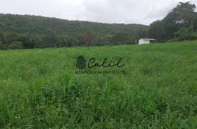 Fazenda com casa sede, casas de caseiro, 703,80 hectares à venda por r$ 20.360.000,00 - porto nacional/to