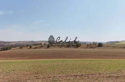 Fazenda com 77,44 hectares, cana própria e pasto à venda por r$ 13.000.000,00 - brodowski/sp