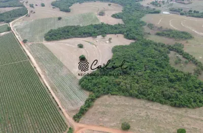 Sítio produtivo com  23,67 hectares à venda por r$ 3.500.000,00 em santo antônio da alegria/sp