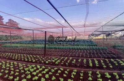 Sítio com 3 dormitórios à venda, 24.200 m² por r$ 7.260.000,00 - zona rural - cravinhos /sp