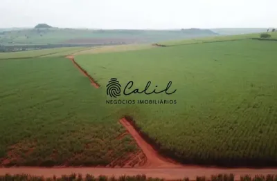 Sítio já arrendado com 26,62 hectares à venda por r$ 2.500.000,00 - santo antônio da alegria/sp