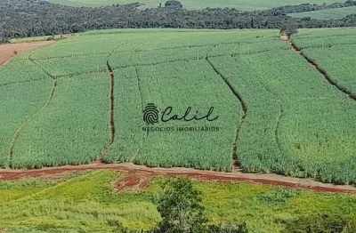 Sítio com 18,88 hectares arrendado para cana de açúcar à venda por r$ 1.800.000,00 - altinópolis/sp