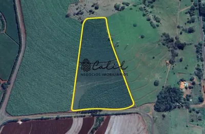 Sítio de 9,68 hectares à venda por r$ 2.235.000,00 - cravinhos/sp