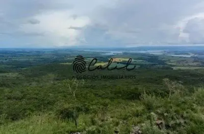 Área rural com 12 ha à venda por r$ 1.299.000,00 - delfinópolis/mg