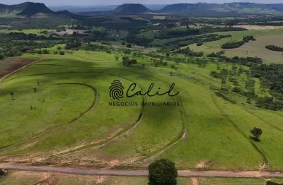 Fazenda com 76,23 ha para agricultura e pecuária à venda por r$ 8.500.000,00 - santo antônio da alegria/sp