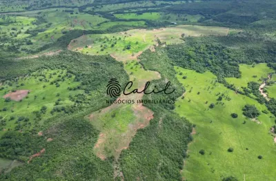 Fazenda para pecuária, com 92,13 hectares, à venda por r$ 4.000.000,00 - gurinhatã/mg