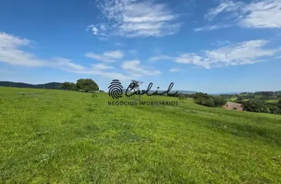 EXCLUSIVIDADE - Fazenda para agricultura e pecuária com 58ha à venda por R$ 5.700.000,00 - Santo Antônio da Alegria/SP