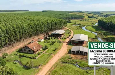 Fazenda com 239 hectares em eucalipto à venda por R$ 18.000.000,00 - Botucatu/SP