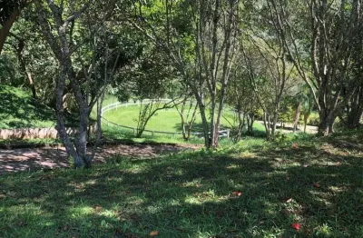 Lindo haras em são roque com excelente localização com 4 alqueires