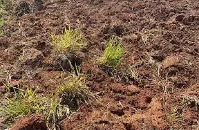 Terreno à venda, 1596 m² por r$ 1.353.410,00 - condomínio empresarial panamericano - sorocaba/sp