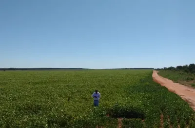 Fazenda à venda na Zona Rural, Bonito de Minas 